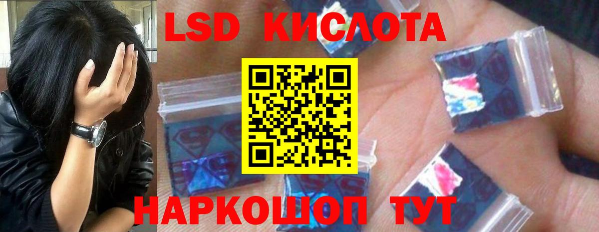 Псилоцибиновые грибы Сарапул