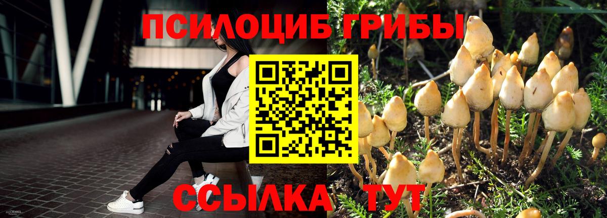 Сарапул  Галлюциногенные грибы GOLDEN TEACHER  Вход с VPN 