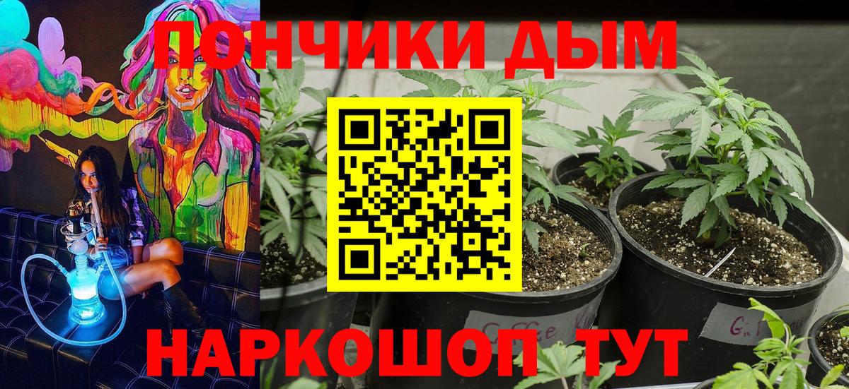 Бошки Шишки тримм Сарапул